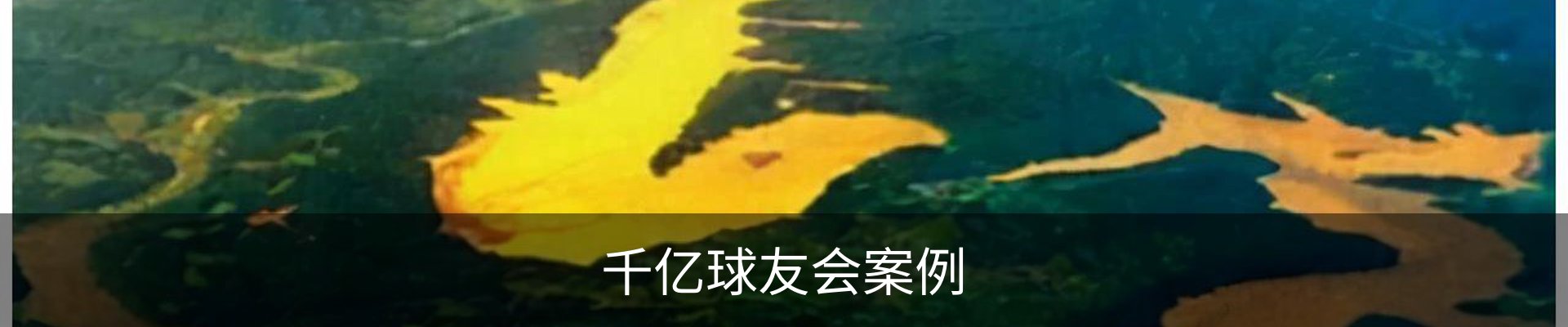 千亿球友会案例